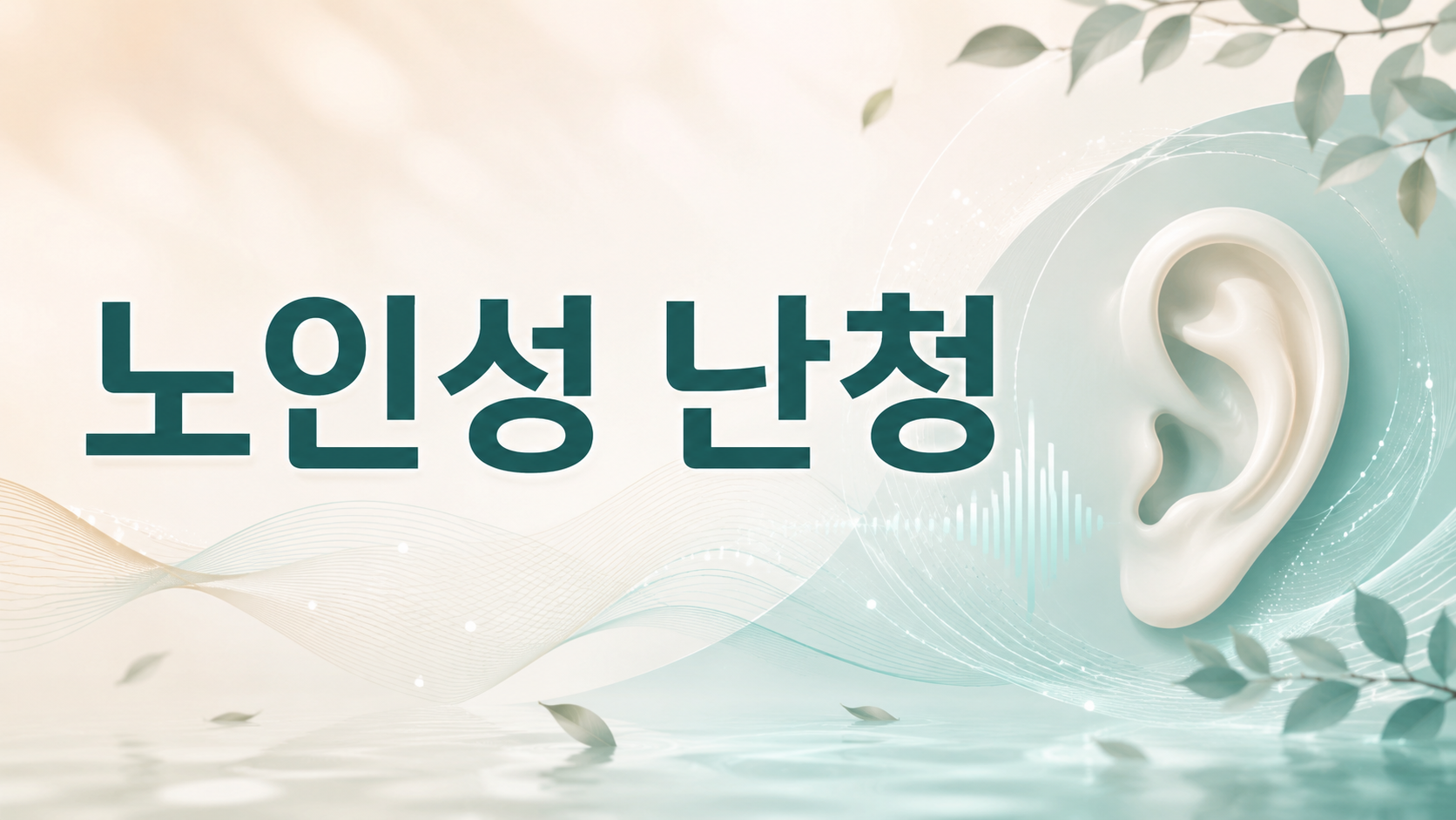 노인성 난청 말소리가 흐려질 때 대화 기능도 함께 확인합니다